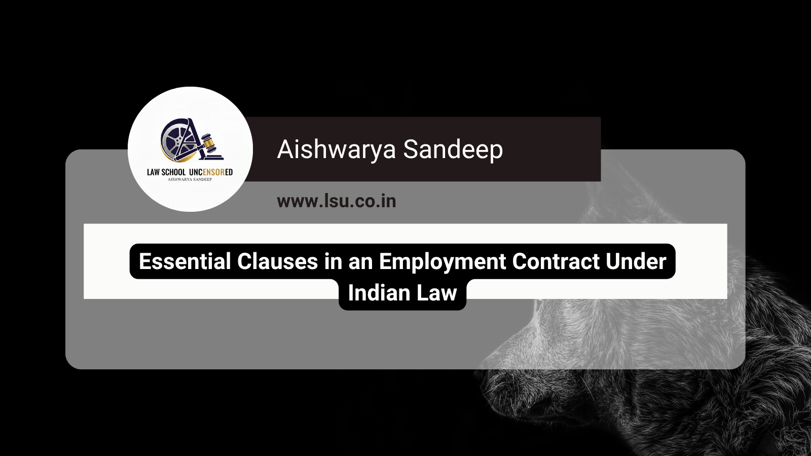 Essential Clauses in an Employment Contract Under Indian Law: A Practical Guide for Law Students and Independent Practitioners