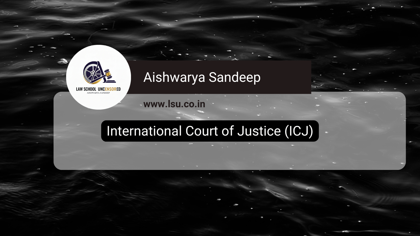 International Court of Justice (ICJ)