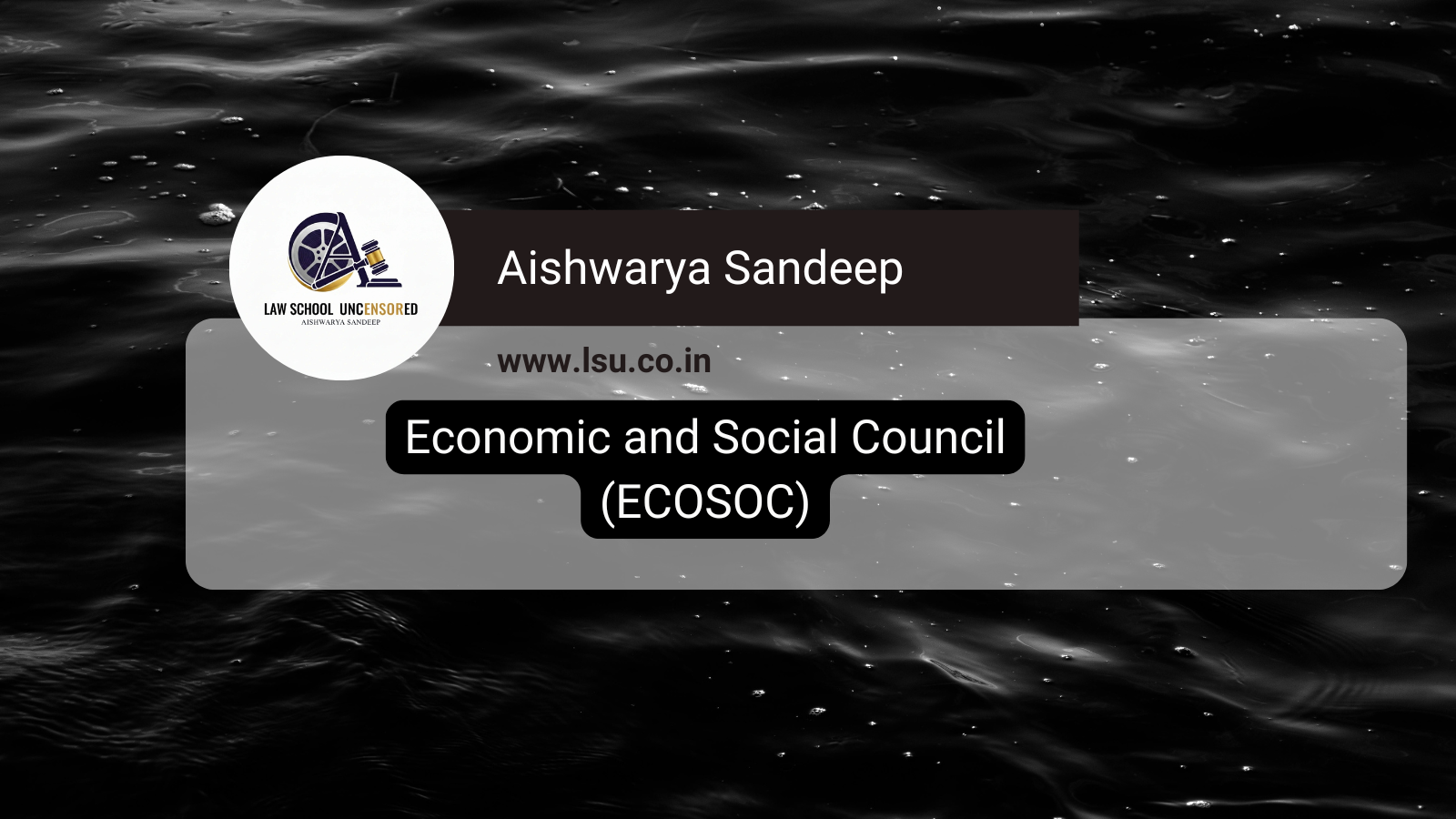 Economic and Social Council (ECOSOC)