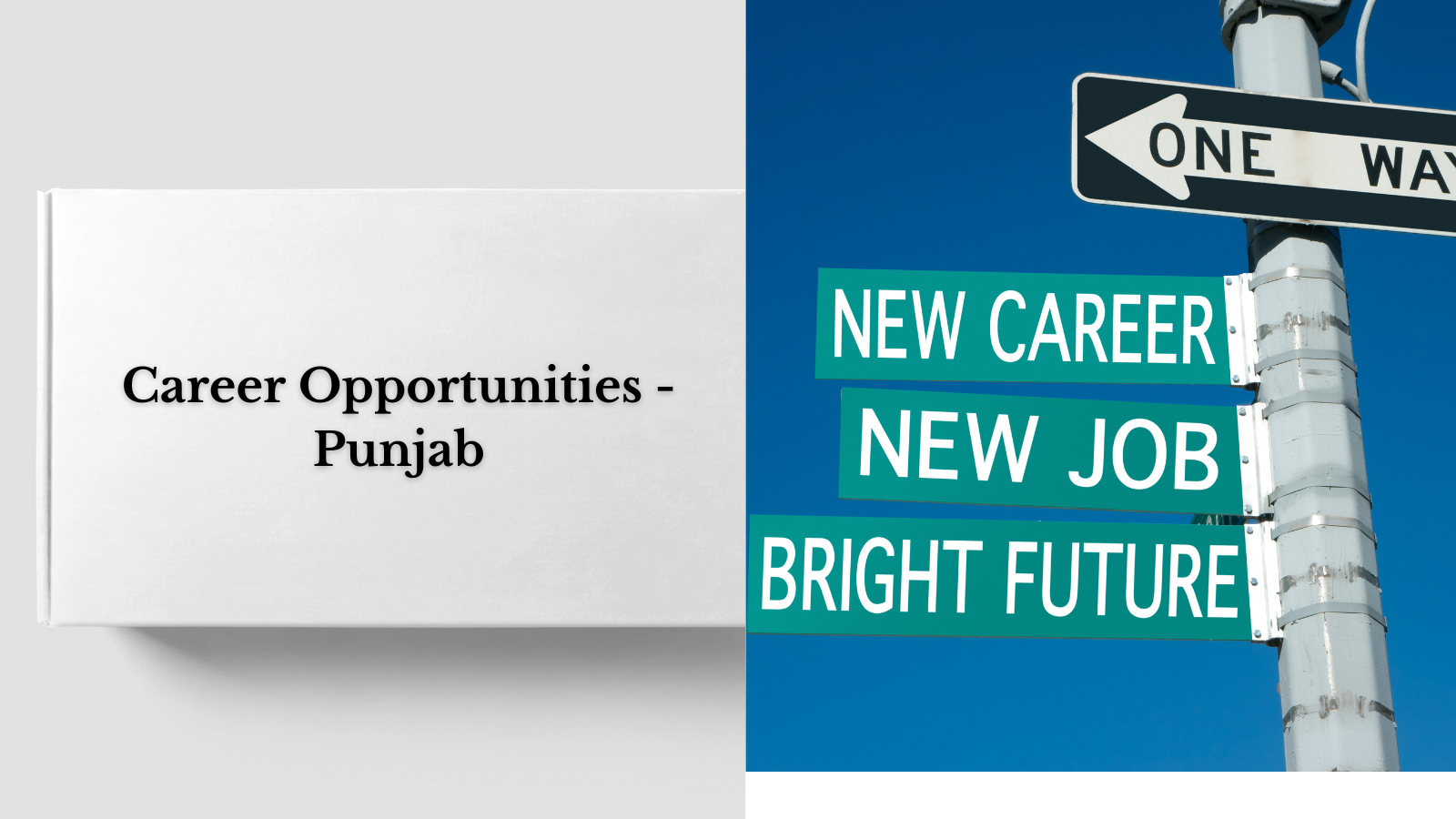 Career Opportunites – Punjab